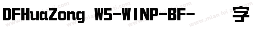DFHuaZong W5-WINP-BF字体转换